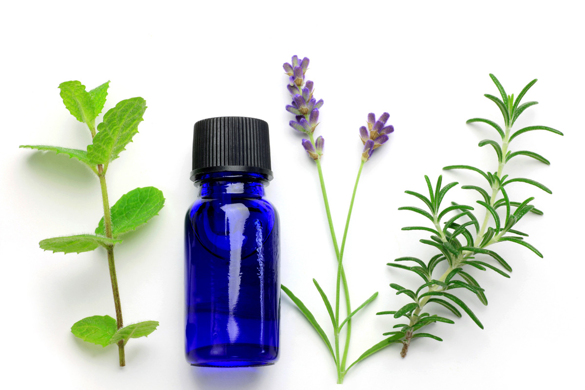 tsumugi（つむぎ）