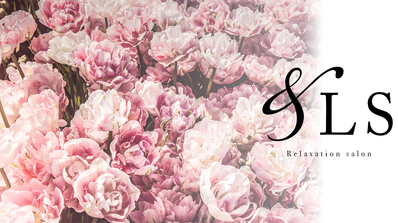 &LS（アンドルクス）