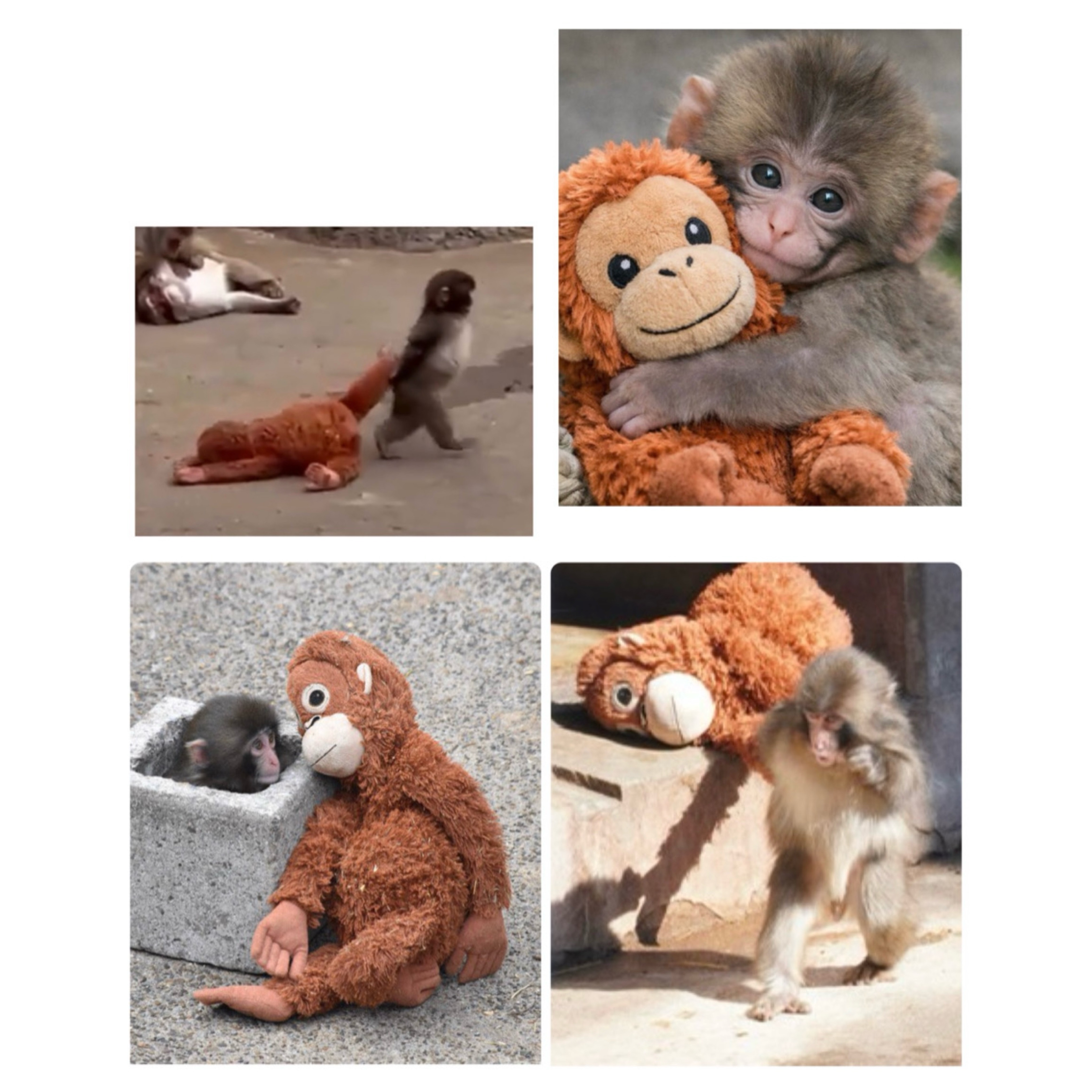 Feeling（フィーリング）