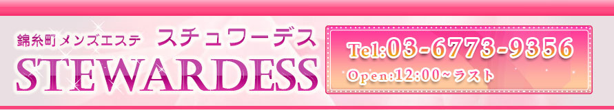 Stewardess（スチュワーデス）
