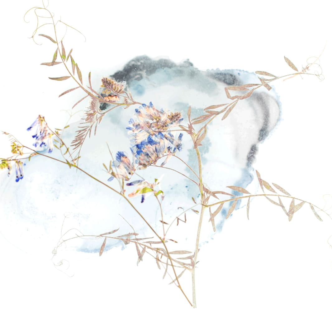 Vivienne（ヴィヴィアン）