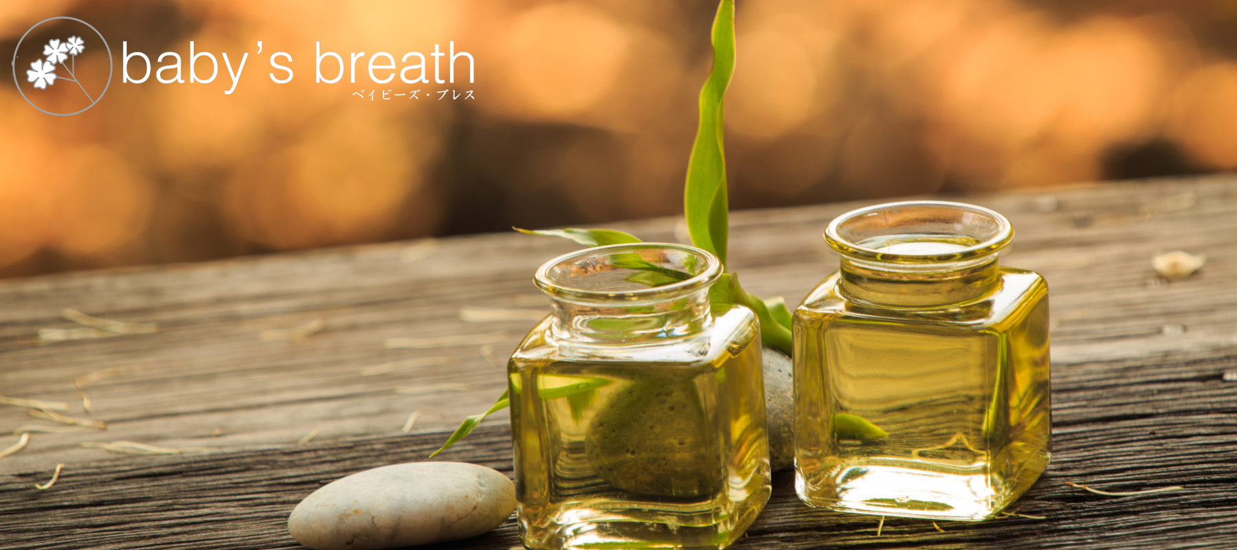 baby’s breath（ベイビーズブレス）