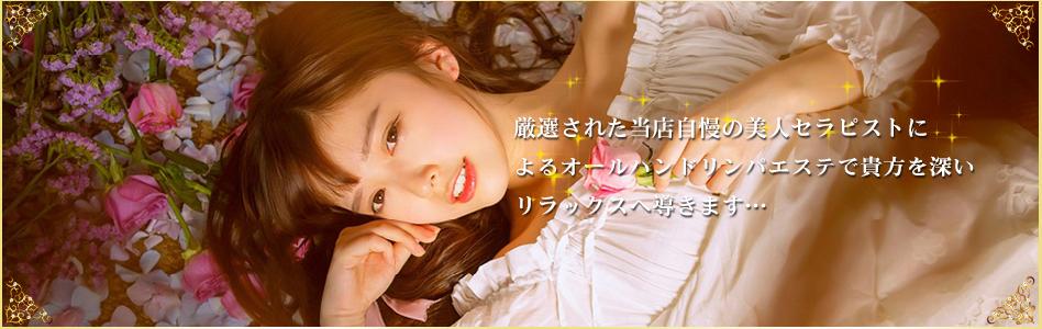 Mitsubatch（ミツバチ）