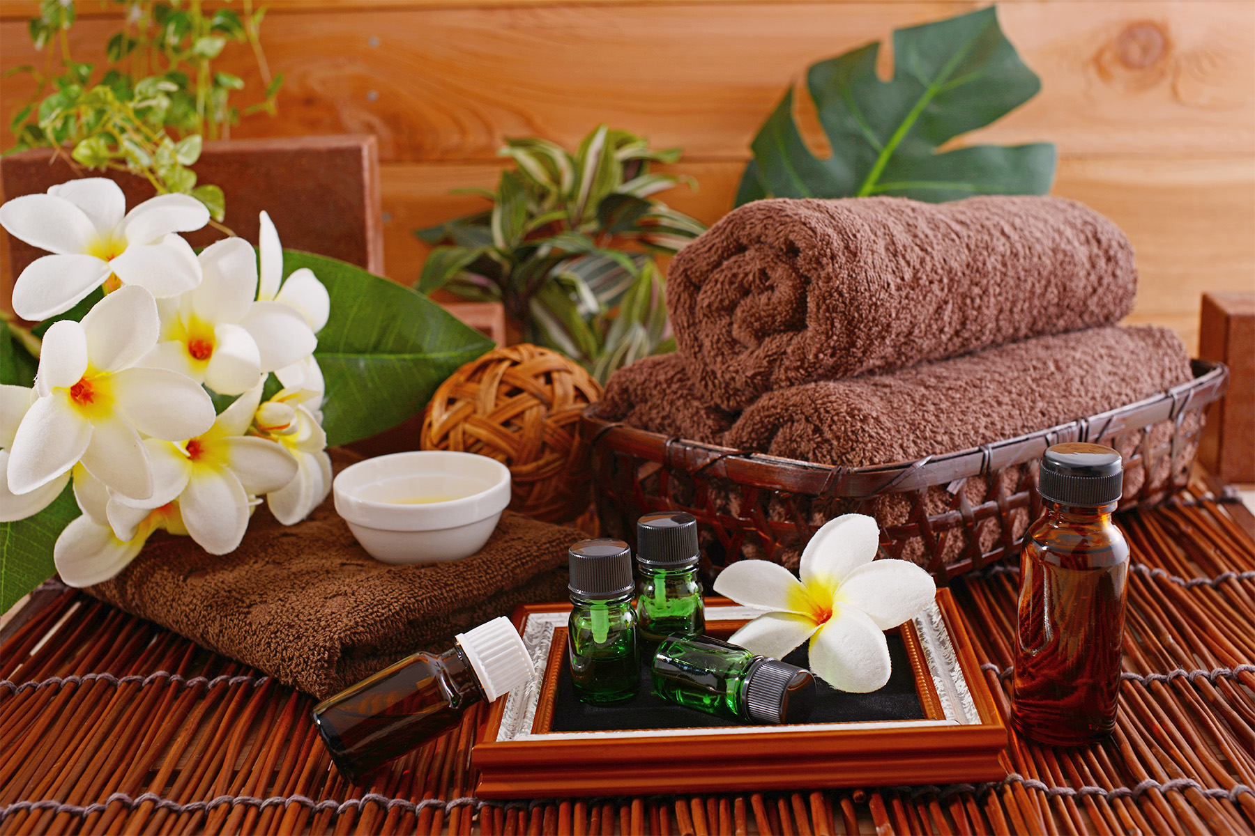 cheetah（チーター）金山