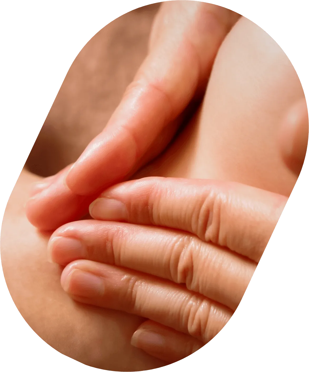 Sakura Palace（サクラパレス）