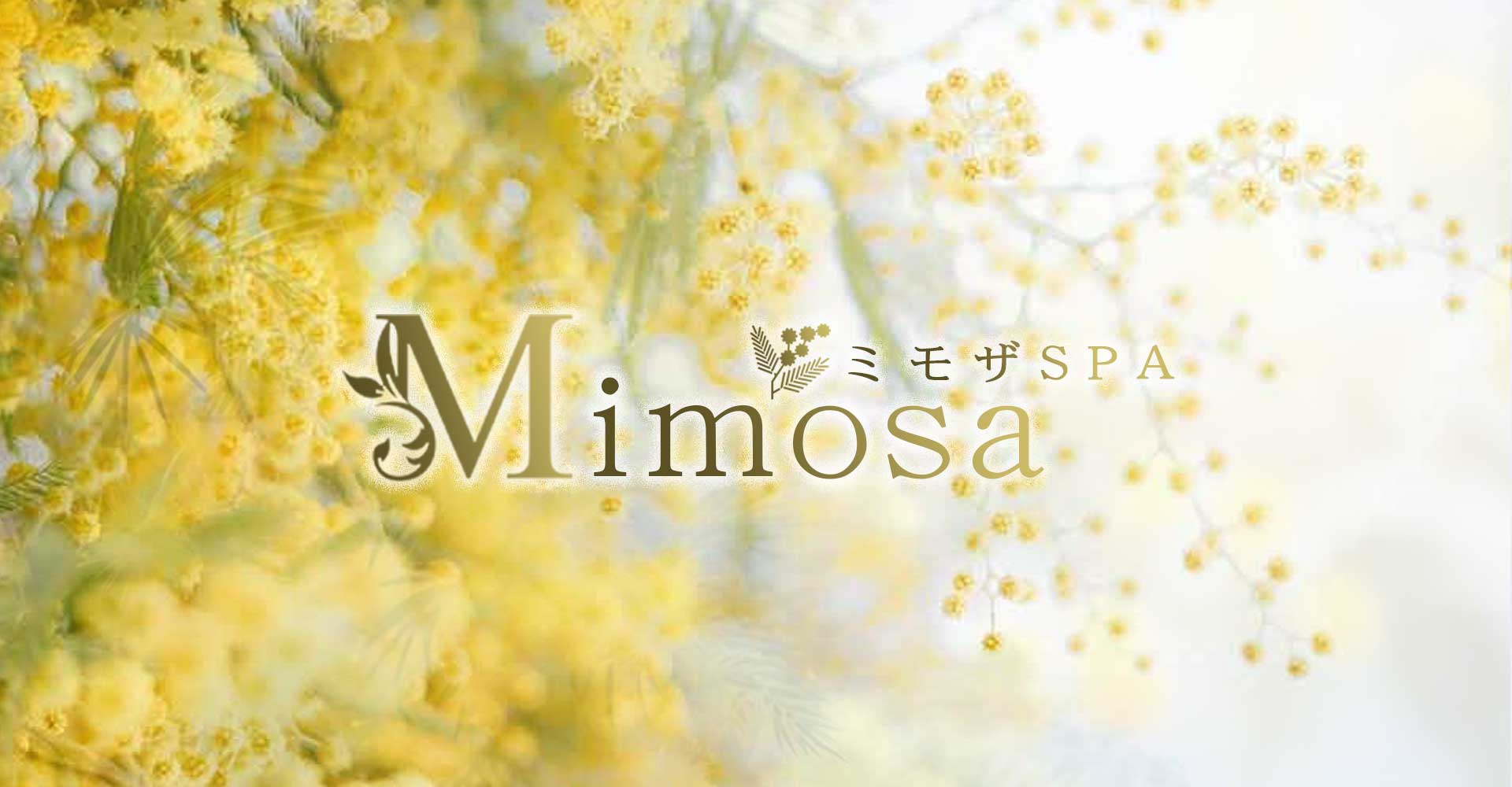 Mimosa～ミモザSPA～