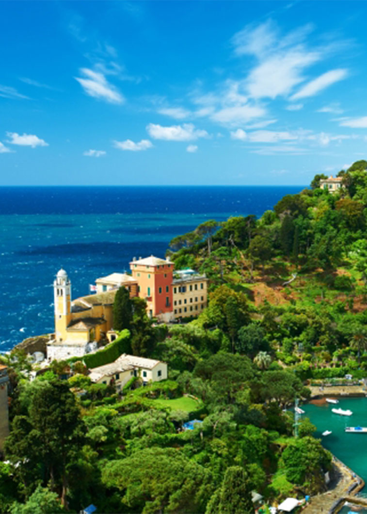 GRASSE HILLS～グラースの丘～