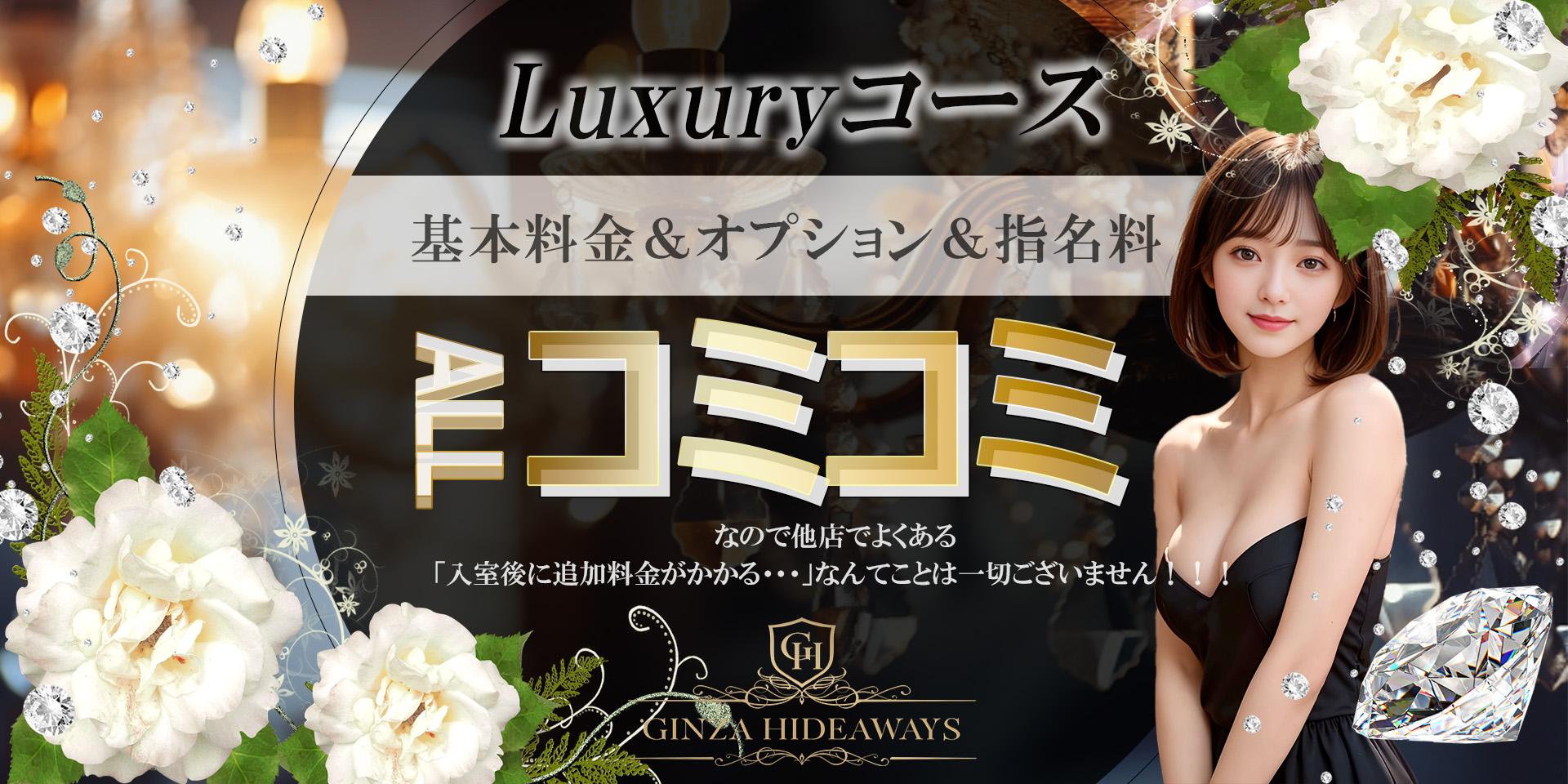 銀座のハイダウェイ〜GINZA HIDEWAYS〜