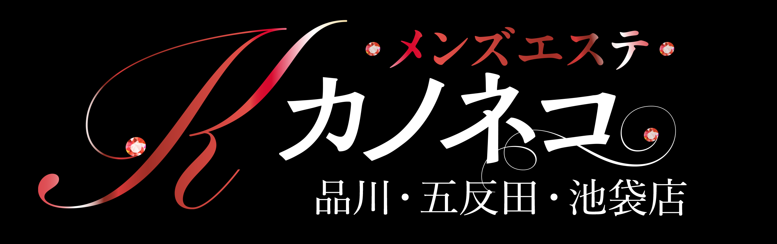 カノネコ 五反田店（旧：もしも彼女が黒猫だったら The GARNET）