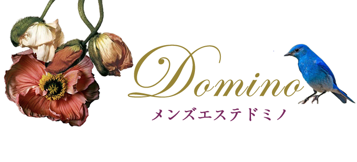 Domino（ドミノ）旗の台店