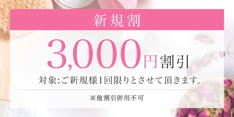 アロマモデスト〜AromaModeste〜大井町ルーム