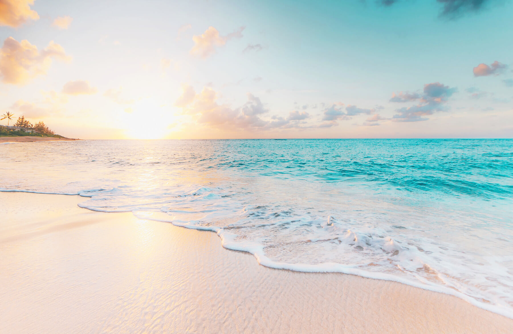 スイート〜SUITE〜