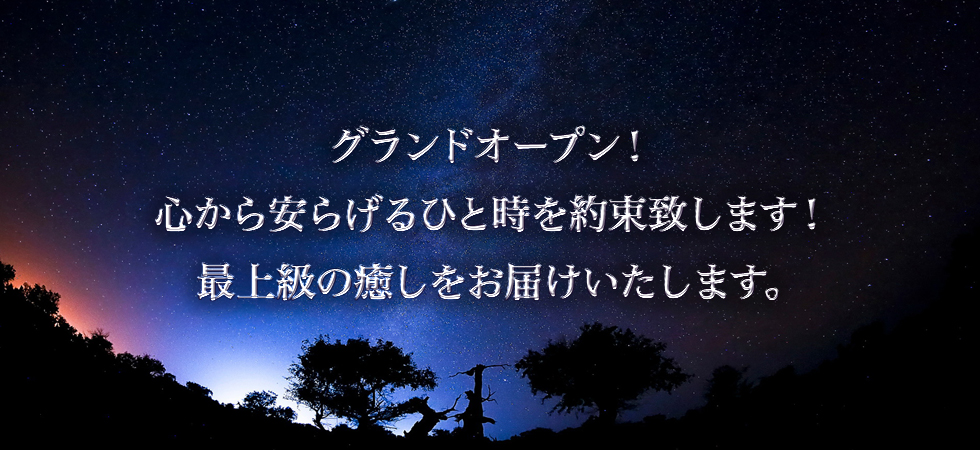 Tokimeki（ときめき）