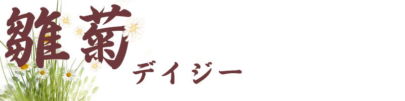 雛菊（デイジー）