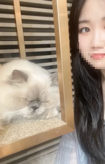 ゆか(23)