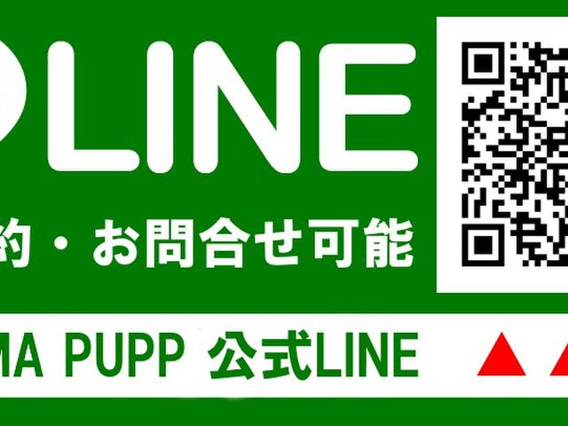 秋葉原 AROMA PUPP（アロマプップ）