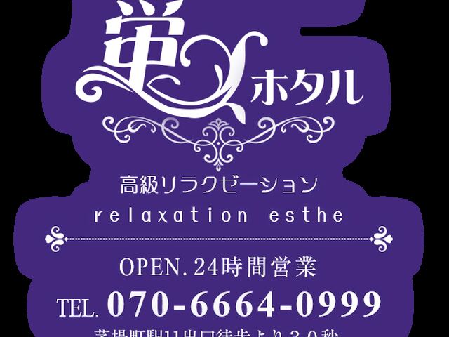 蛍（ホタル）