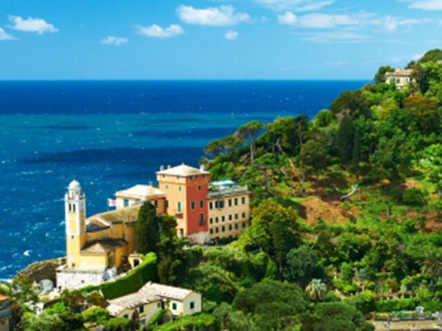 GRASSE HILLS～グラースの丘～