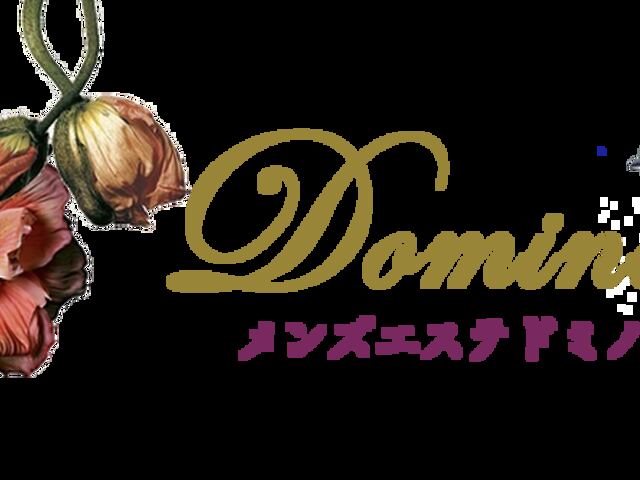 Domino（ドミノ）旗の台店