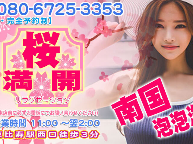 桜満開